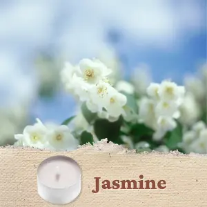 10pck Jasmine Scented Tealights