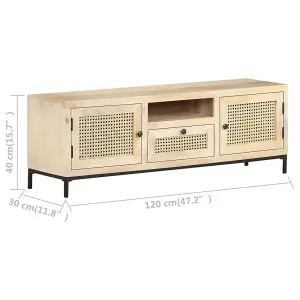 Berkfield TV Cabinet 120x30x40 cm Solid Mango Wood and Natural Cane