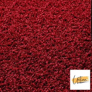 Round Soft Shaggy 5cm Thick Rugs Small Large Plush Circle Area Rugs Living Room Bedroom (Red, 120cm x 120cm)