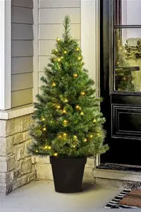 The 3ft Pre-Lit Majestic Dew Pine Potted Christmas Tree (Indoor/Outdoor) Christmas Tree World