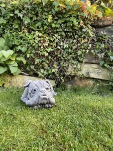 Lying Bulldog Small Garden Ornament