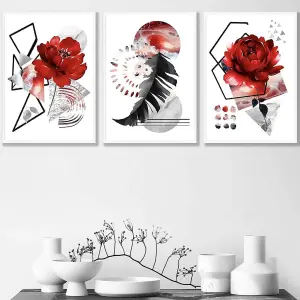 Set of 3 Abstract Red and Black Botanical Wall Art Prints / 42x59cm (A2) / White Frame