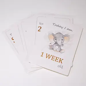 Cute Unisex Baby Elephant Grey Quirky and Fun Set of 24 Milestone Cards