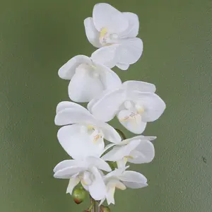 46cm Artificial Orchid White with Silver Pot