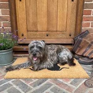 Cat Silhouette Indoor & Outdoor Coir Doormat