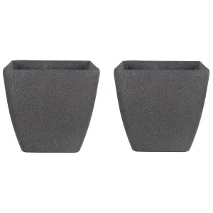 Set of 2 Plant Pots 34 x 34 x 34 cm Grey ZELI