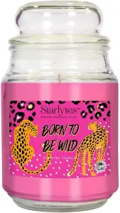 Starlytes 6PC Scented Candle Assortment 6 x 510g Jars