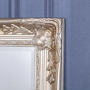 Tall Ornate Champagne Mirror 147cm x 47cm