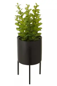 Interiors By Premier Minimalist Thyme, Versatile Thyme With Leaves And Decorative Classic Comcrete Planter For Artificial Flowers