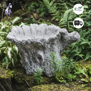 Beautiful Tree Trunk shaped Birdbath