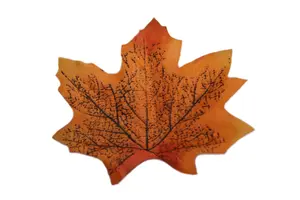 Best Artificial Loose Autumn Halloween Maple Leaves for Crafts Decoration - M7