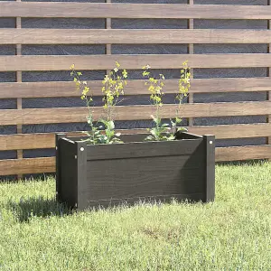 Berkfield Garden Planter Grey 60x31x31 cm Solid Pinewood