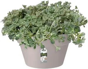 Elho Loft Urban Bowl 35cm Grey/Warm Grey Recycled Plastic Plant Pot