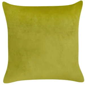 Set of 2 Cushions YUZURI Velvet 45 x 45 cm Animal Light Green