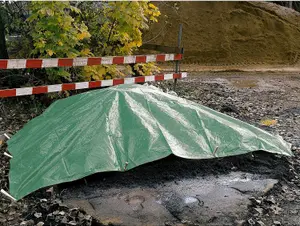 3 x 4 m Green Tarpaulin Waterproof Heavy Duty Cover Ground Sheet Camping Multipurpose Furniture Caravan with 4 Tarp Clips