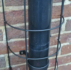 Metal Tube Trellis Semi Circular for Drainpipes (Set of 2)