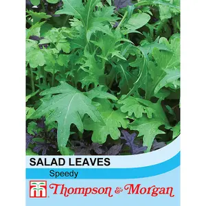 Salad Leaves Speedy 1 Seed Packet (400 Seeds)