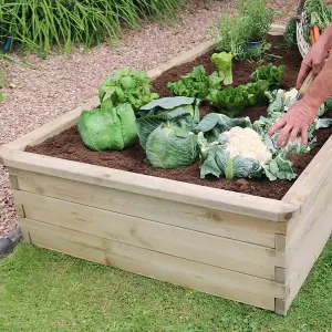 Zest Rectangular Sleeper Raised Wooden Bed Garden Planter 1.8m x 0.9m