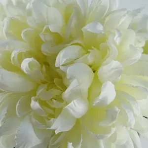 Pack of 6 x 75cm Extra Large Reflex Chrysanthemum - White