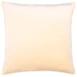 Paoletti Bloomsbury Cut Velvet Piped Feather Filled Cushion