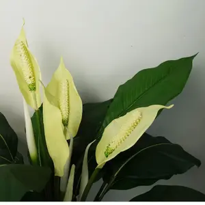 Artificial Peace Lily White Spathiphyllum