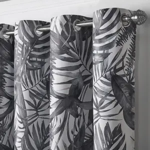 Mal Ring Top Curtains Charcoal 168cm x 183cm