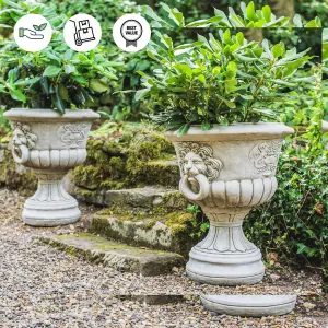 Pair of Lion Head design Stone Vases