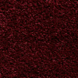 Ruby Plain Shaggy Modern Plain Easy to Clean Rug Soft For Dining Room -120cm X 170cm