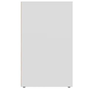 Berkfield Shoe Cabinets 2 pcs White 52.5x30x50 cm