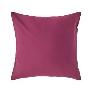 Homescapes Plum Continental Egyptian Cotton Pillowcase 200 TC, 40 x 40 cm