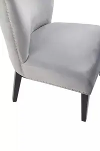 Interiors by Premiers Velvet Dining Chair, Dining Room Accent Chair, Velvet Upholstered Wing Chair with Wooden Legs