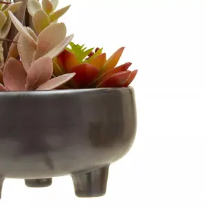 Fiori Mixed Succulents In Grey Ceramic Pot Artificial Plant Foliage