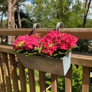 Zinc Balcony Hanging Planters (Set of 2)