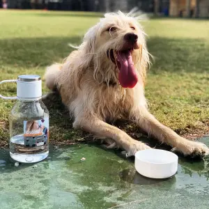 Tritan Water Bottle with Dog Bowl White 1.5 Litre