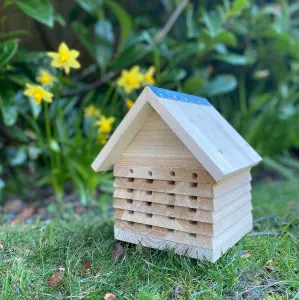 Wooden Solitary Bee Hive Hotel Habitat