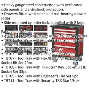 Premium 6 Drawer Tool Rollcab with 298 Piece Comprehensive Tool Kit