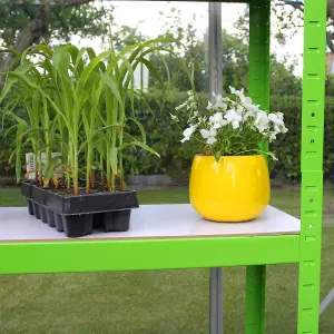 Polytunnel Greenhouse - 4m x 2m with Racking