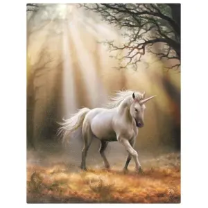 Anne Stokes Glimpse Unicorn Canvas Multicoloured (Small)