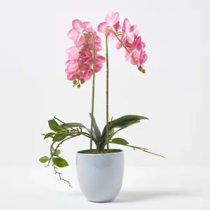 Homescapes Pink Orchid 54 cm Phalaenopsis in Ceramic Pot