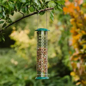 Peckish Stainless steel Suet & peanut Green All weather Bird feeder 0.7L