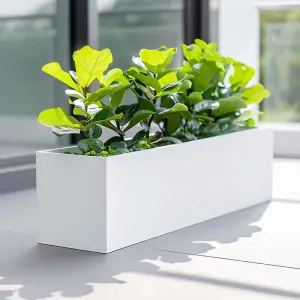 75cm Zinc Galvanised Matte White Trough Planter