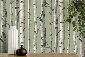 Fine Decor Birch Trees Sage Wallpaper FD43291