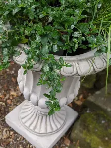 Pair of Large Fluted Stone Garden Vases