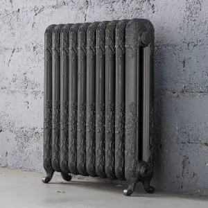 Arroll Daisy Cast iron Grey 10 Column Radiator, (W)684mm x (H)794mm