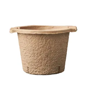 LickTools Wood Pulp Paint Kettle Beige (14.5cm x 20cm x 22cm)