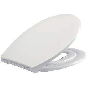 Euroshowers Standard Family Potty Training Toilet Seat