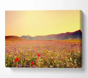 Sunny Field Of Beautiful Wild Flowers Canvas Print Wall Art - Medium 20 x 32 Inches