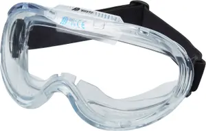 Site SEY226 Clear lens Safety goggles