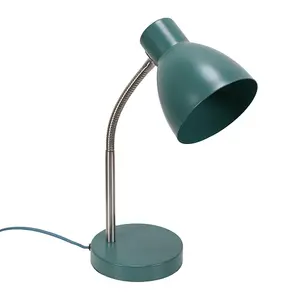 ValueLights Keela Teal Adjustable Flexi Neck Desk Lamp Task Reading Light for Living Room office - LED Bulb Included