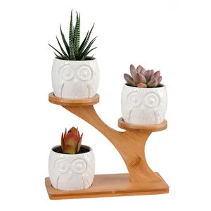 simpa 3PC White Owls Ceramic Plant Pots on Perch Stand